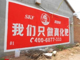 武定刷墙广告”蕴含了时代命题