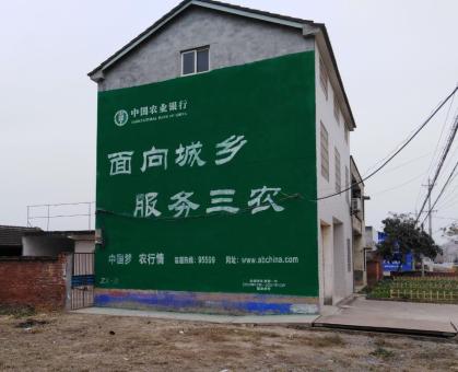 武定为什么制作墙体广告