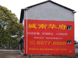 武定百分之90的人都不了解的农村墙体广告