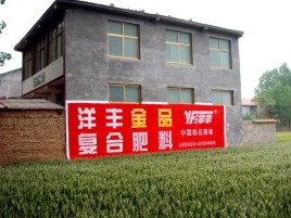 武定如何让墙体广告展现最大化效果