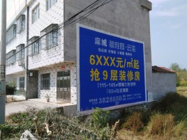 武定墙体广告质量分析