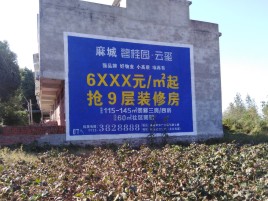 武定品牌公司青睐的墙体广告