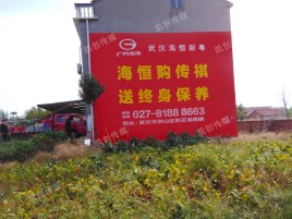 武定墙体广告影响褪色的因素