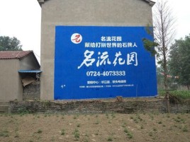 武定农村墙体广告的长尾效应