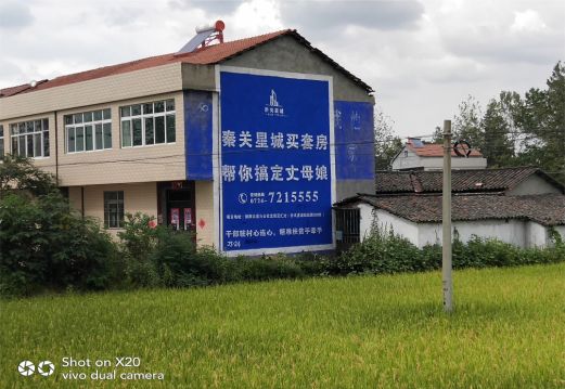 武定决定墙体广告价格的因素有哪些?